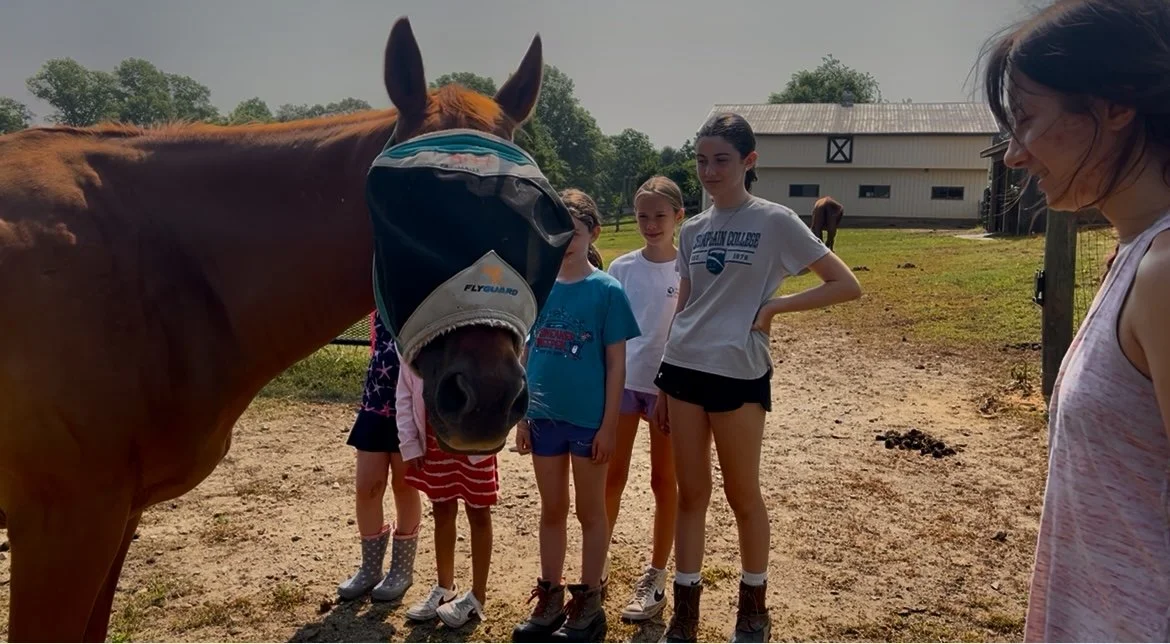 A group of young girls stands outdoors near a large brown horse wearing a fly mask. The girls are dressed in summer clothing and are observing the horse, with one girl smiling and looking at the horse.