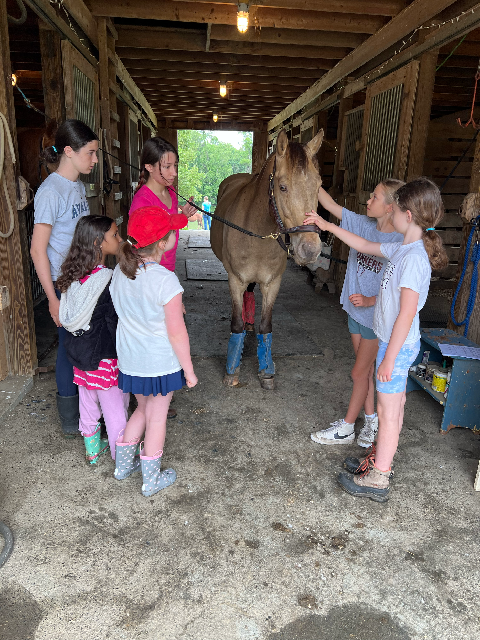 Group of children petting a brown horse in a barn.