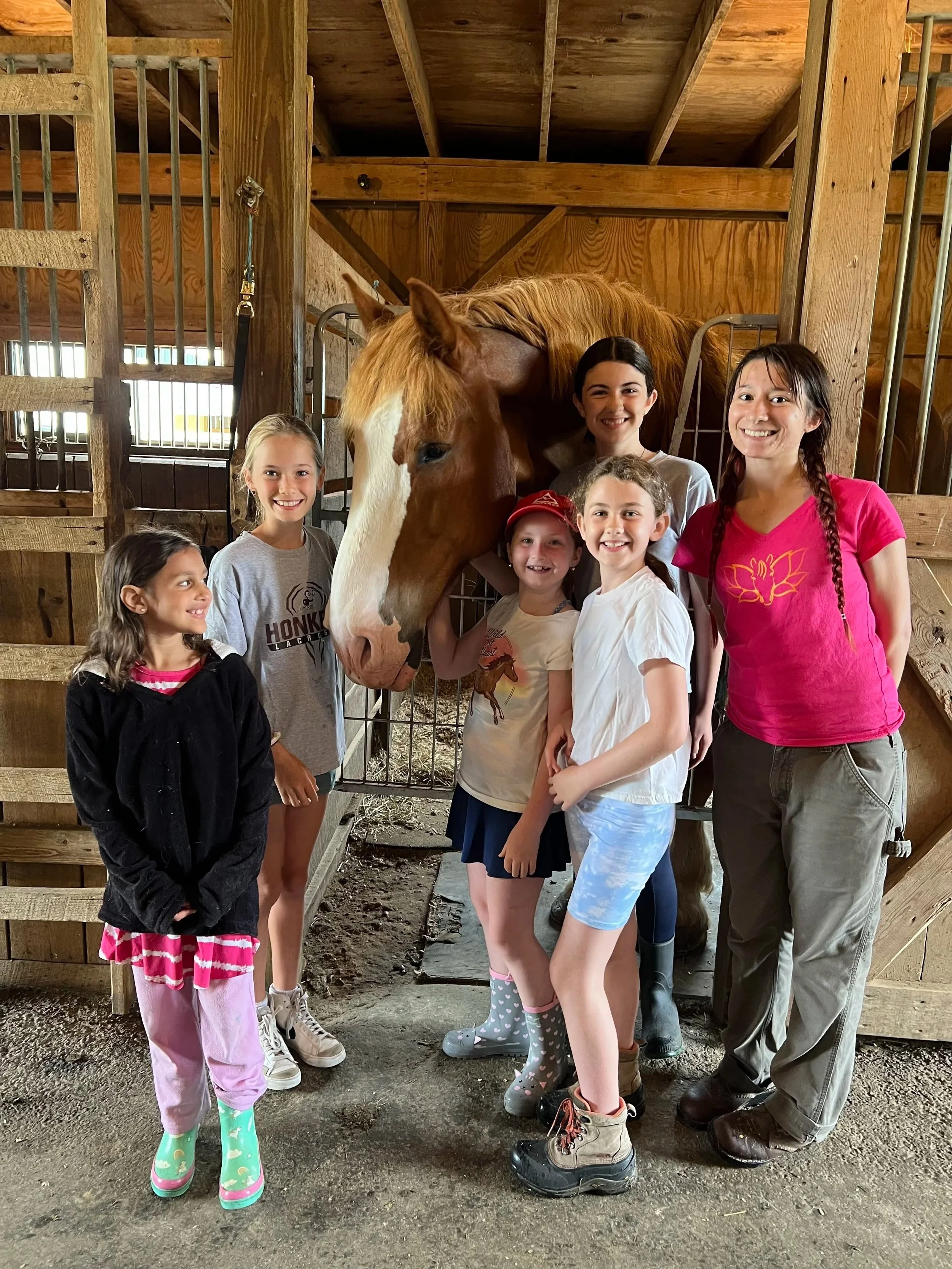 Seven children and one adult girl smiling, standing around a large brown horse with a white stripe on its face inside a wooden barn.