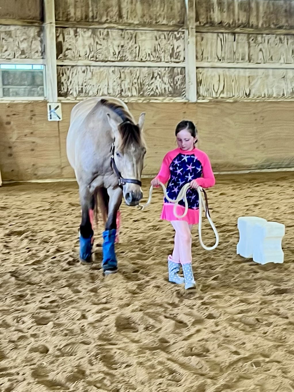 Young girl in pink and blue riding outfit holding a lunge line, walking with a light brown horse inside a wooden indoor riding arena.