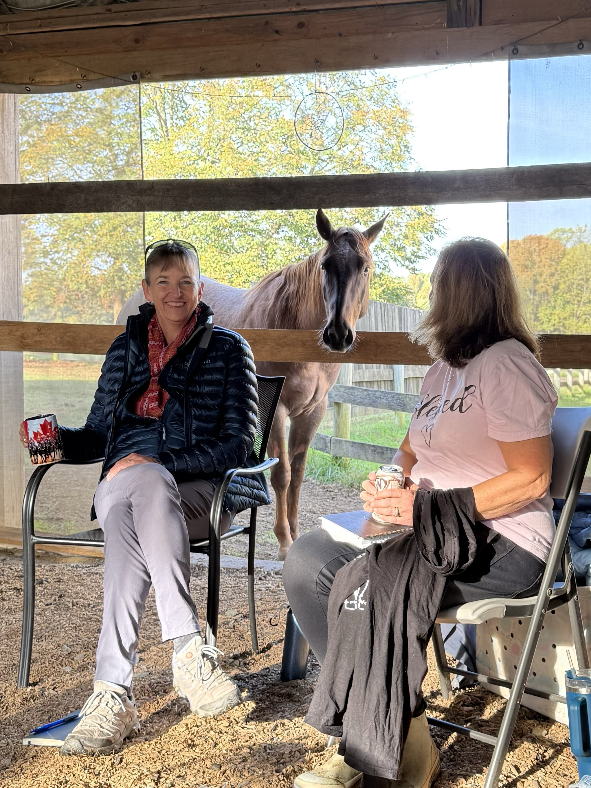 Two women sitting on chairs inside a barn, with a brown horse looking through a stall window behind them, holding drinks and smiling.