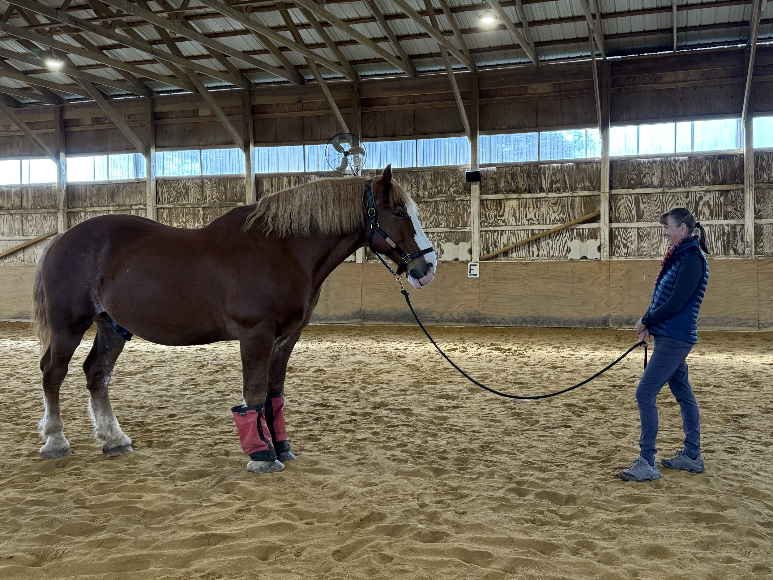 A woman is standing in a horse arena, holding the lead rope of a brown horse with a white blaze face and blond mane. The horse is wearing red protective leg wraps on its front legs. The arena has sandy footing and wooden walls, with a high ceiling an