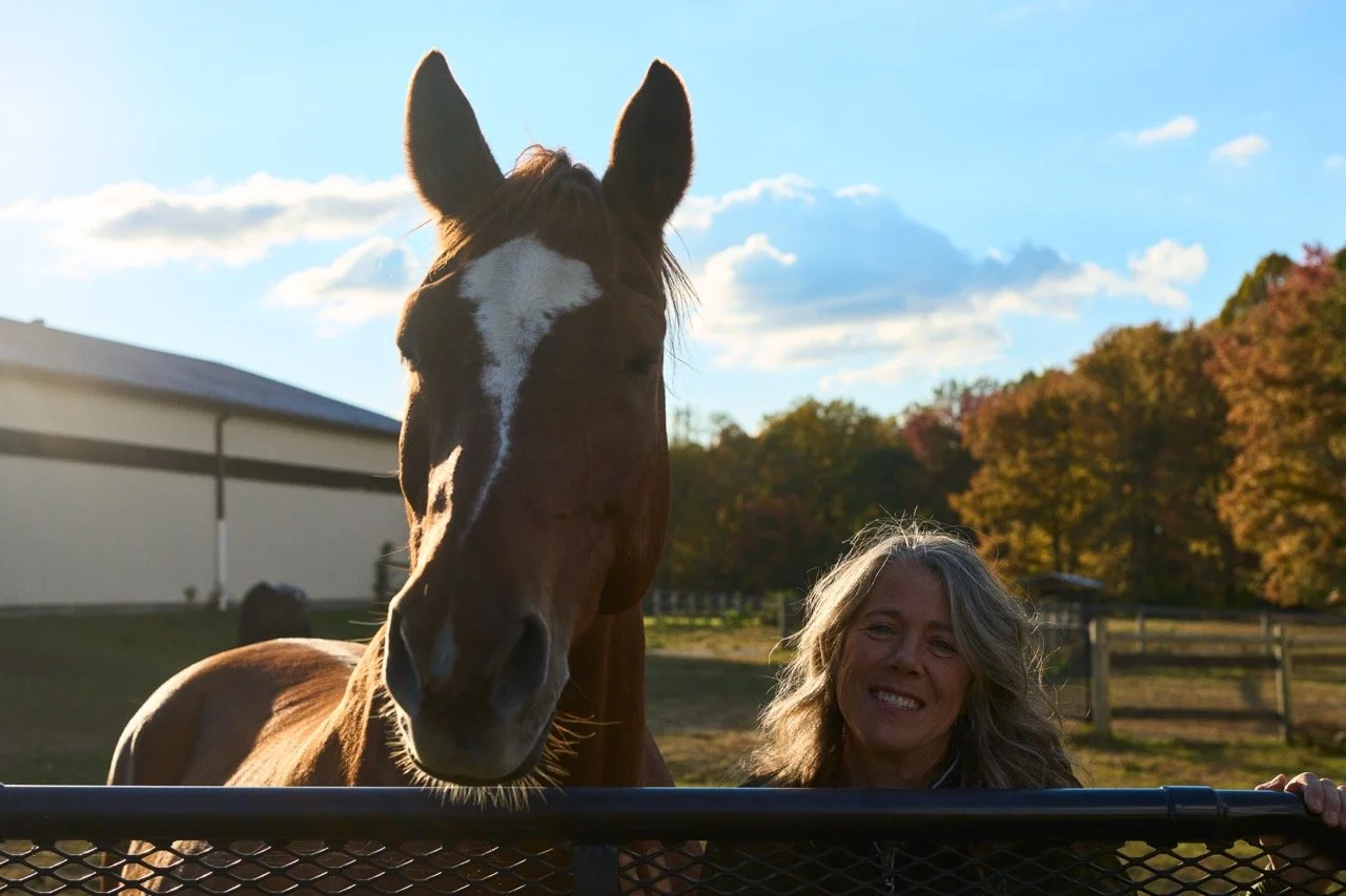 A woman and a horse at a farm, standing behind a metal fence, with trees and a barn in the background on a sunny day.