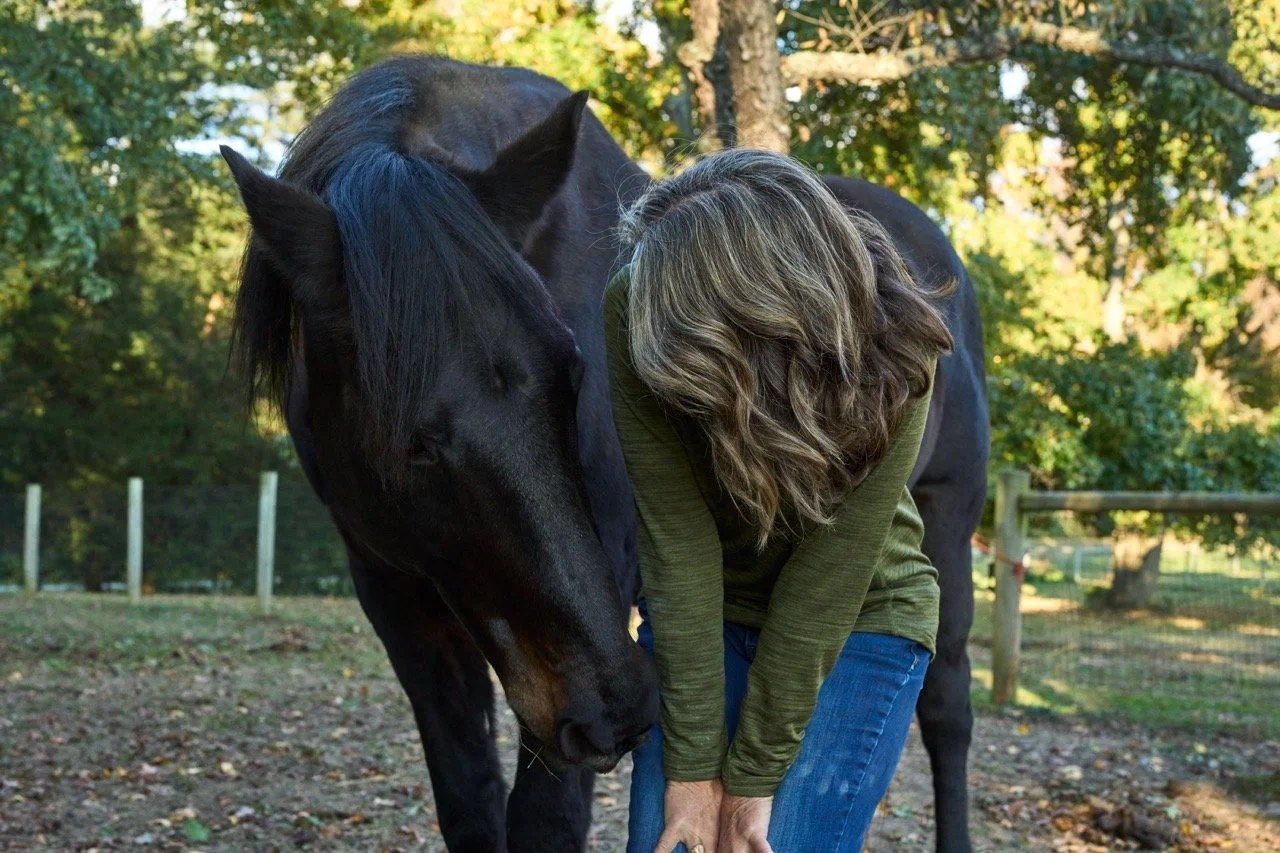 A woman with wavy brown hair wearing a green sweater and blue jeans is standing next to a black horse in a wooded outdoor setting. The horse's head is lowered toward the woman's hands, which are near the horse's face. Trees with green leaves are visi