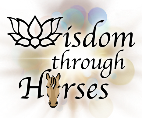 Wisdom Through Horses