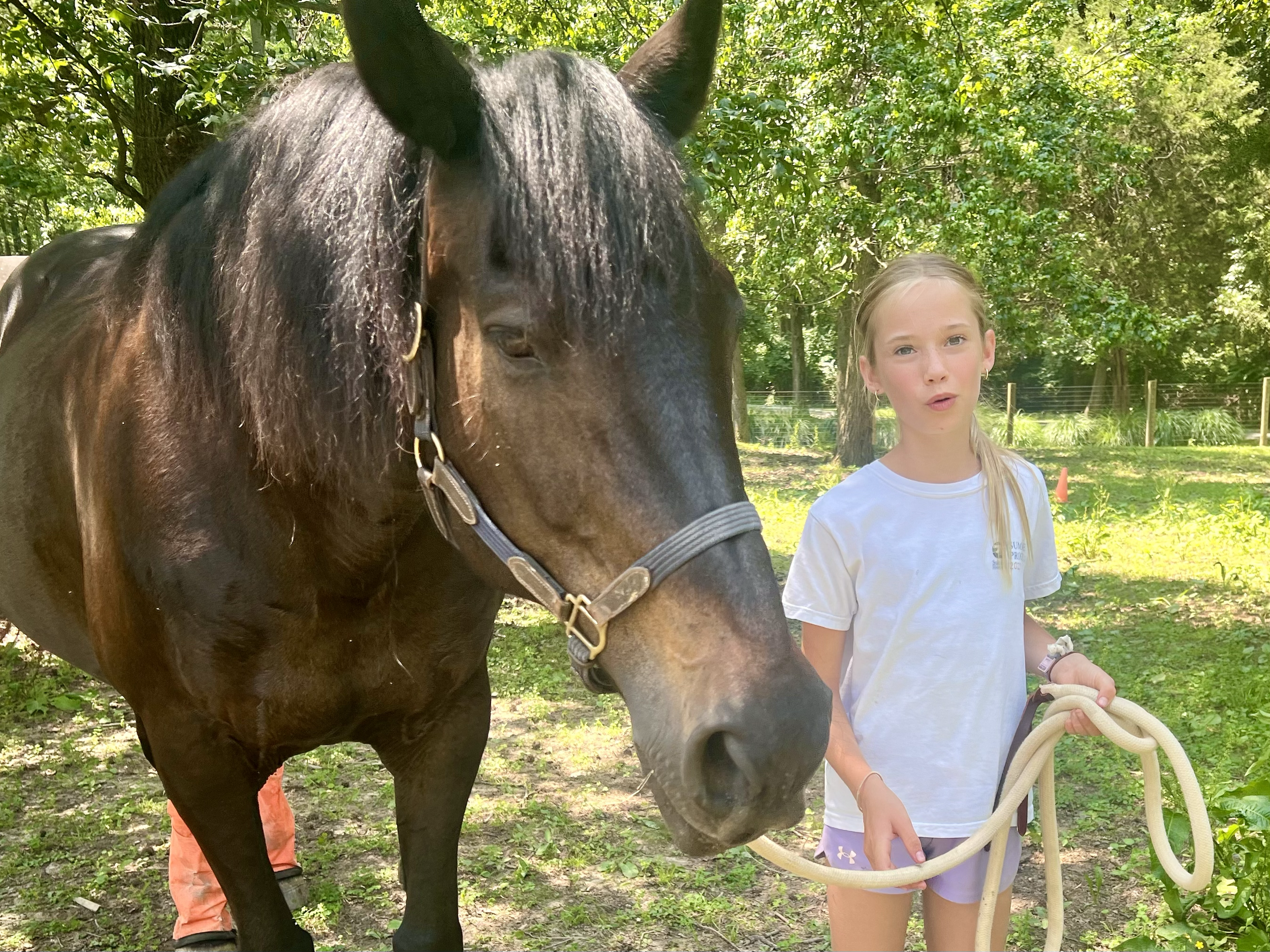 A young girl holding a lead rope standing next to a large black horse in a green outdoor setting with trees and a fence.