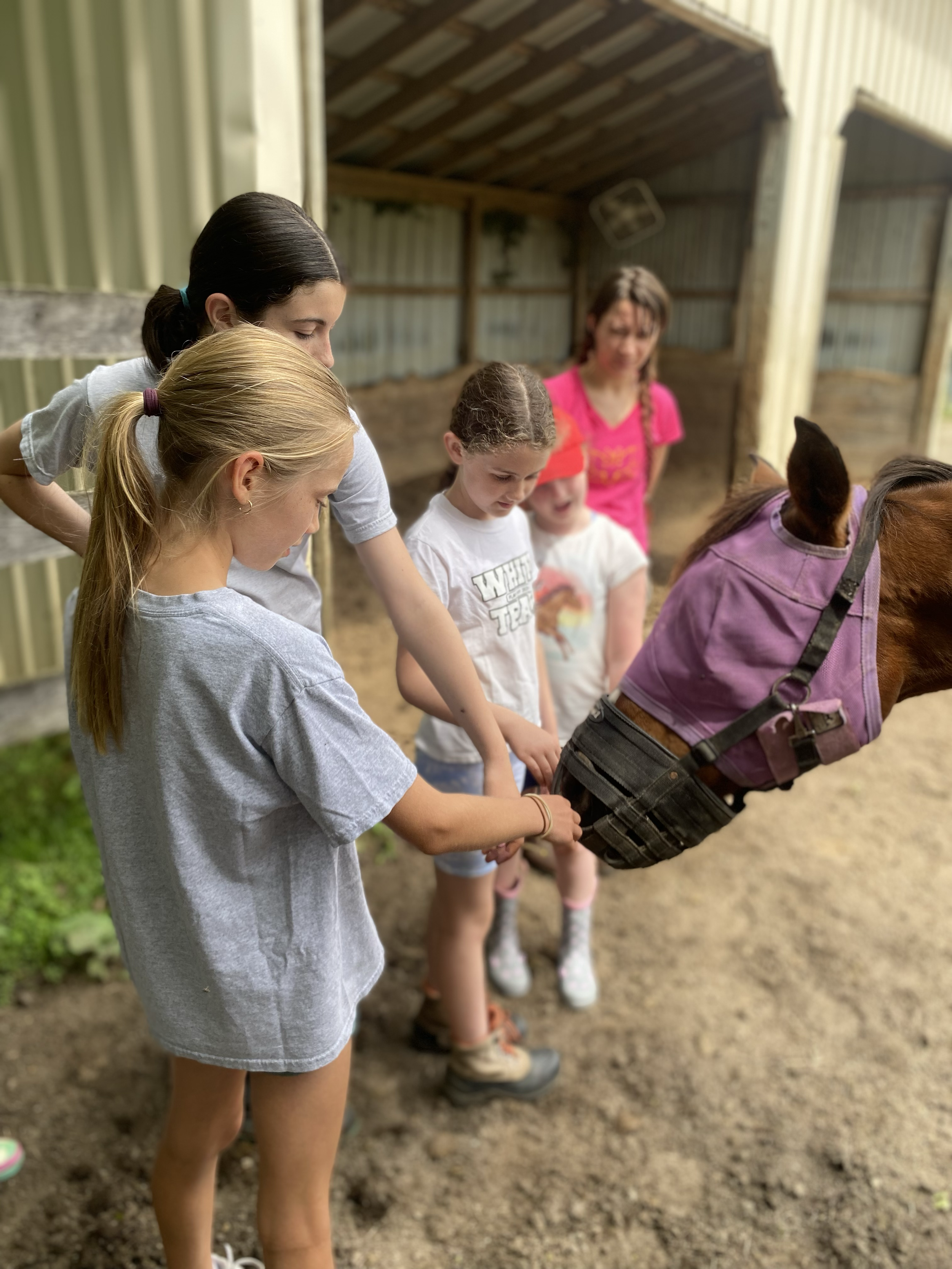 Four young girls and an adult woman gather around a horse in a barn, with the girl in the front holding the horse's hoof.