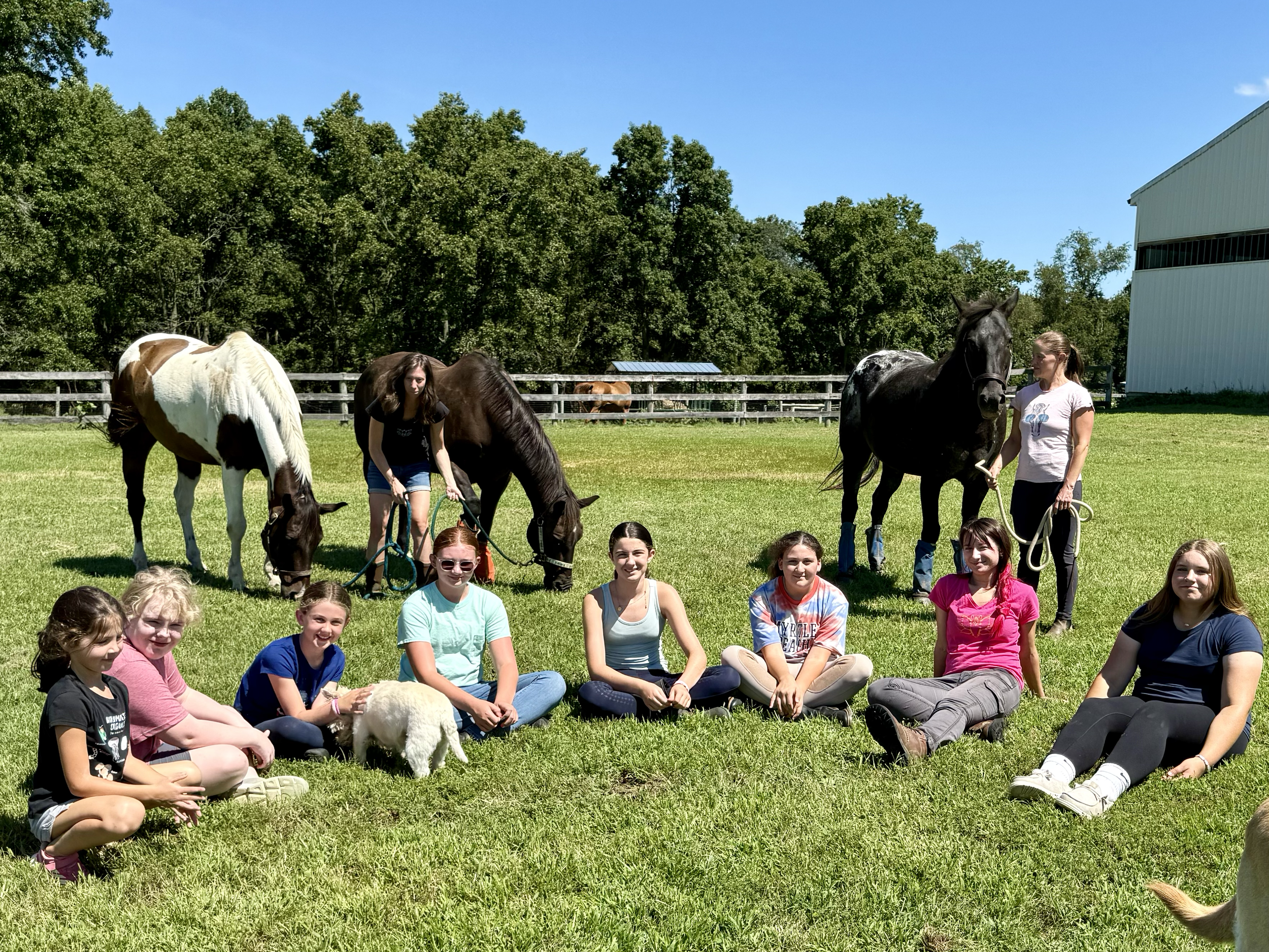 Group of children sitting on grass with horses and a small white dog on a farm on a sunny day.