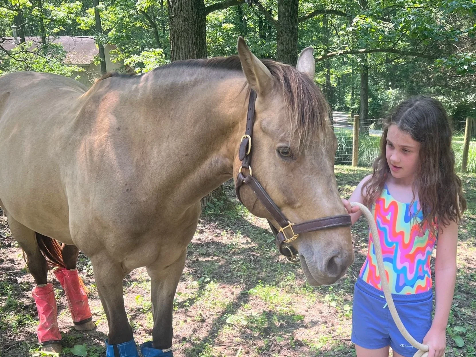 A girl holding a horse's halter in a wooded outdoor area.