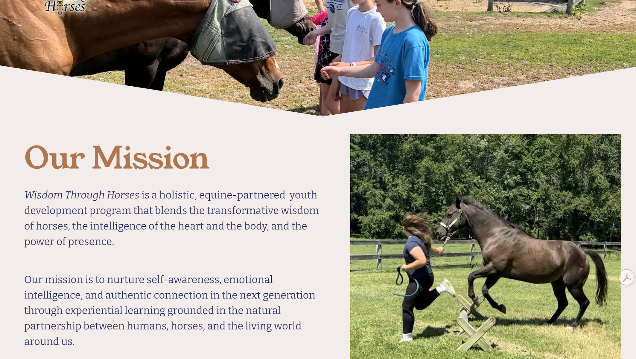 Screenshot 2026-03-01 at 7.50.29 PM.png