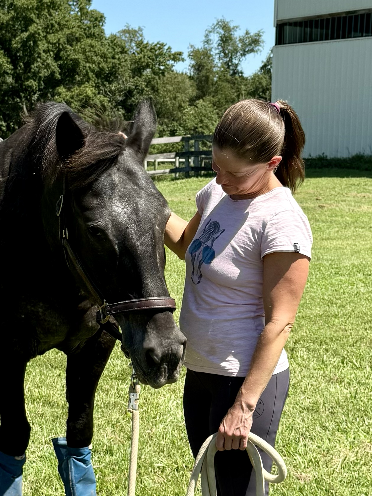 A woman in a white t-shirt standing on a green grassy field, gently petting a black horse.