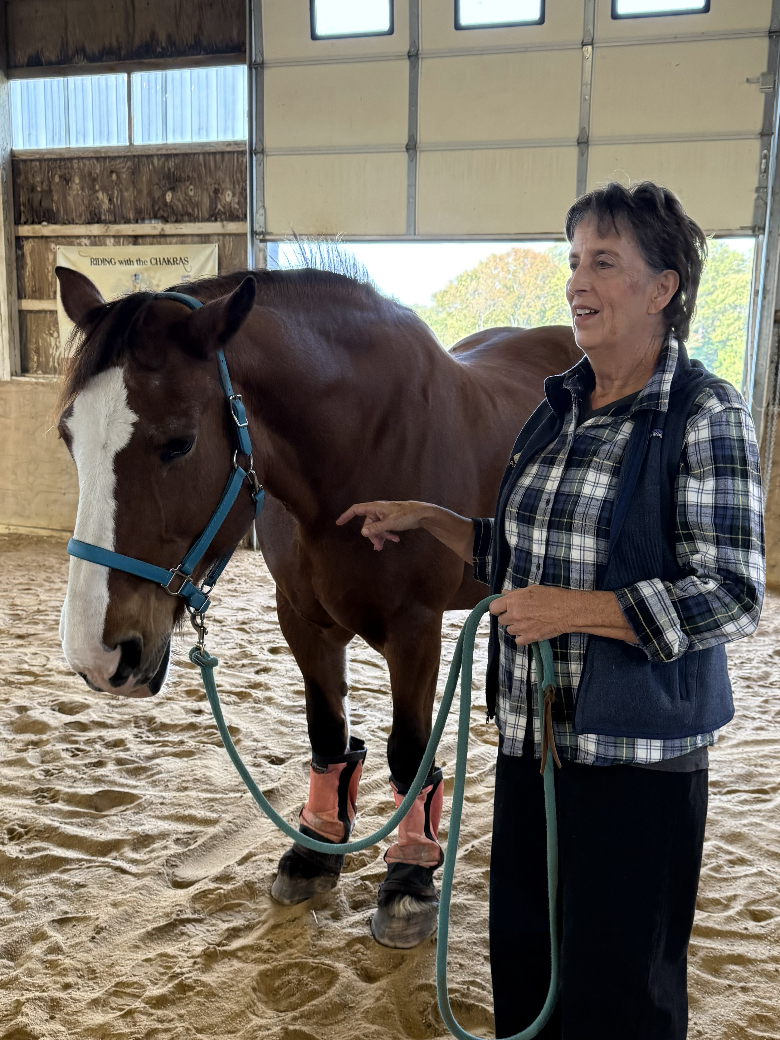 An older woman wearing a checkered shirt and vest interacts with a brown horse with a white blaze on its face in an indoor riding arena, holding the horse's lead rope. The horse is wearing protective leg gear and a blue halter.