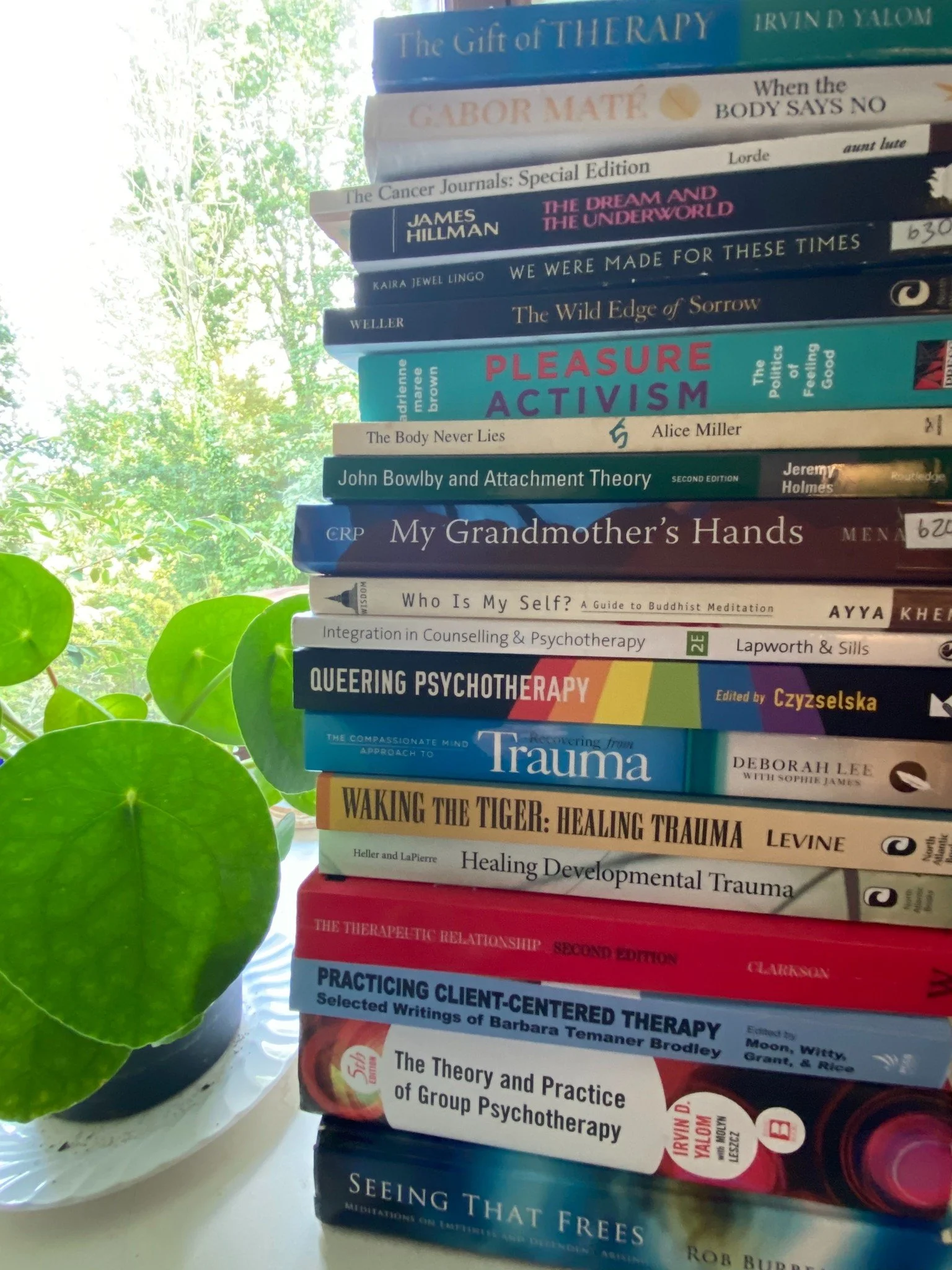Stack of psychotherapy and mental health books next to a potted plant with green leaves, with a bright window and greenery outside in the background.