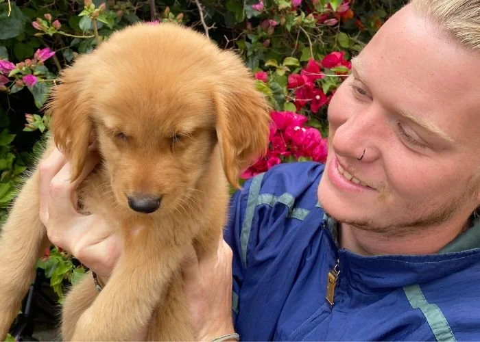 Puppy Blues: How We Survived a Year of Moving and Training