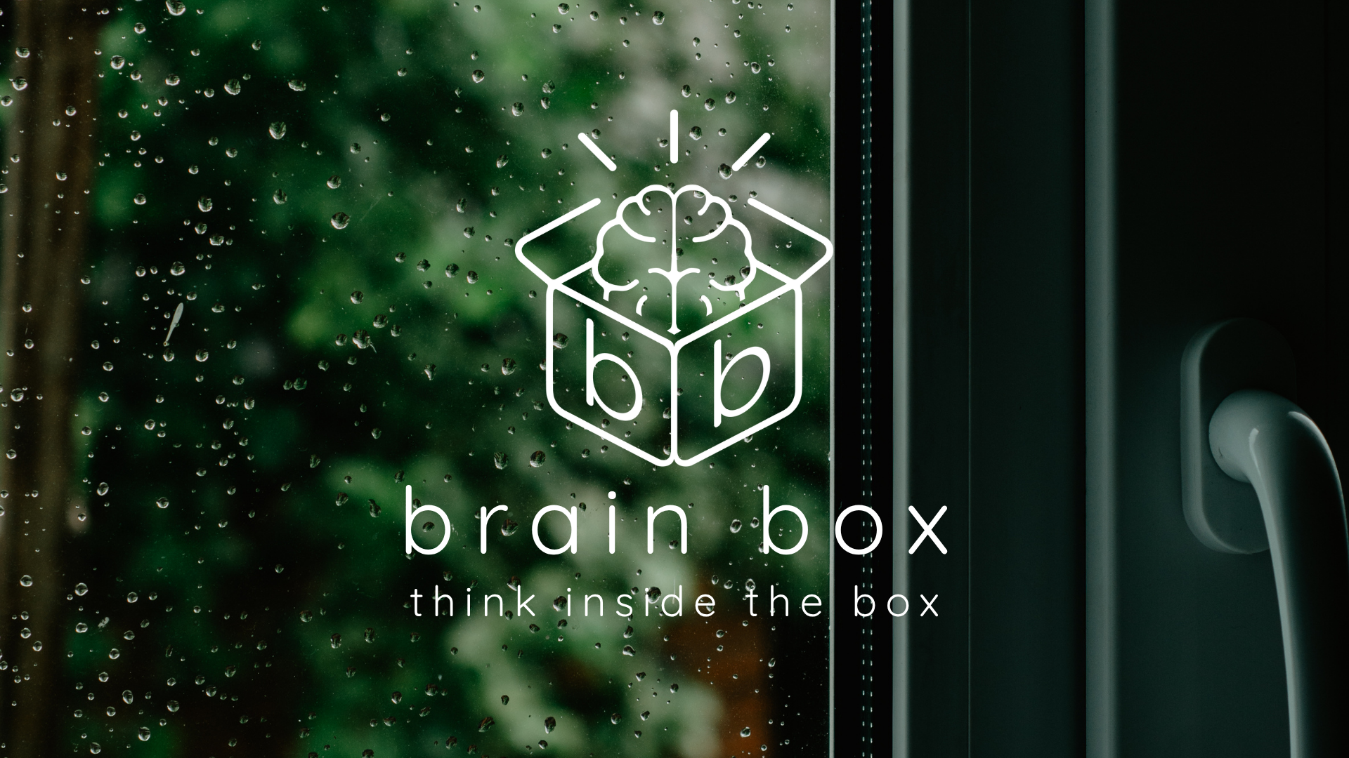brain box (2).png