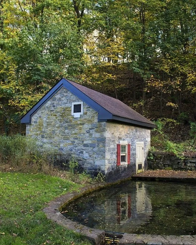 Springhouse Psychiatry and Wellness