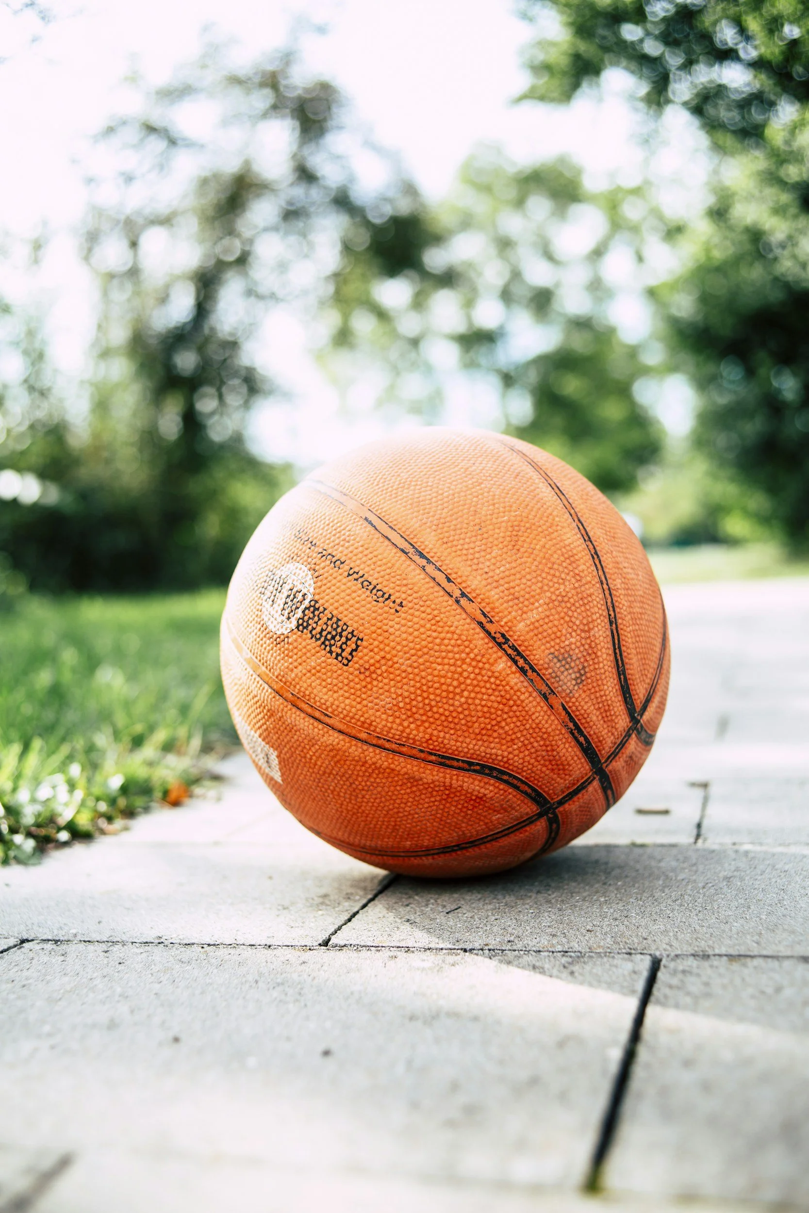 An orange basketball lying on a concrete sidewalk outdoors with green grass and trees in the background.