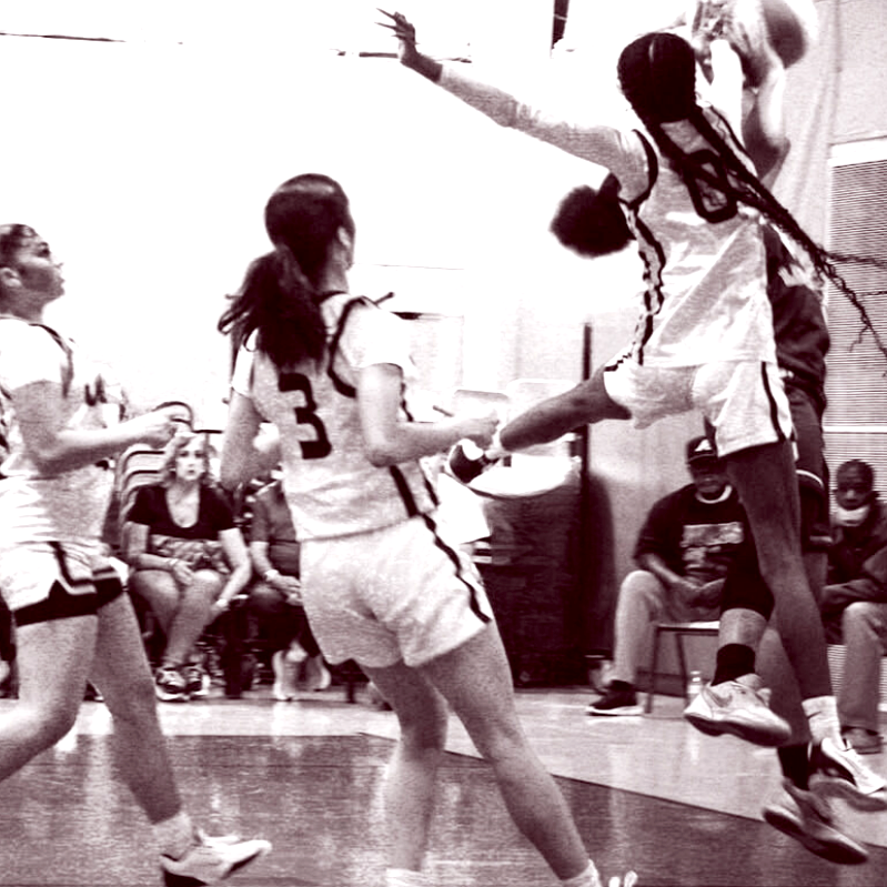 Untitled design (4).png