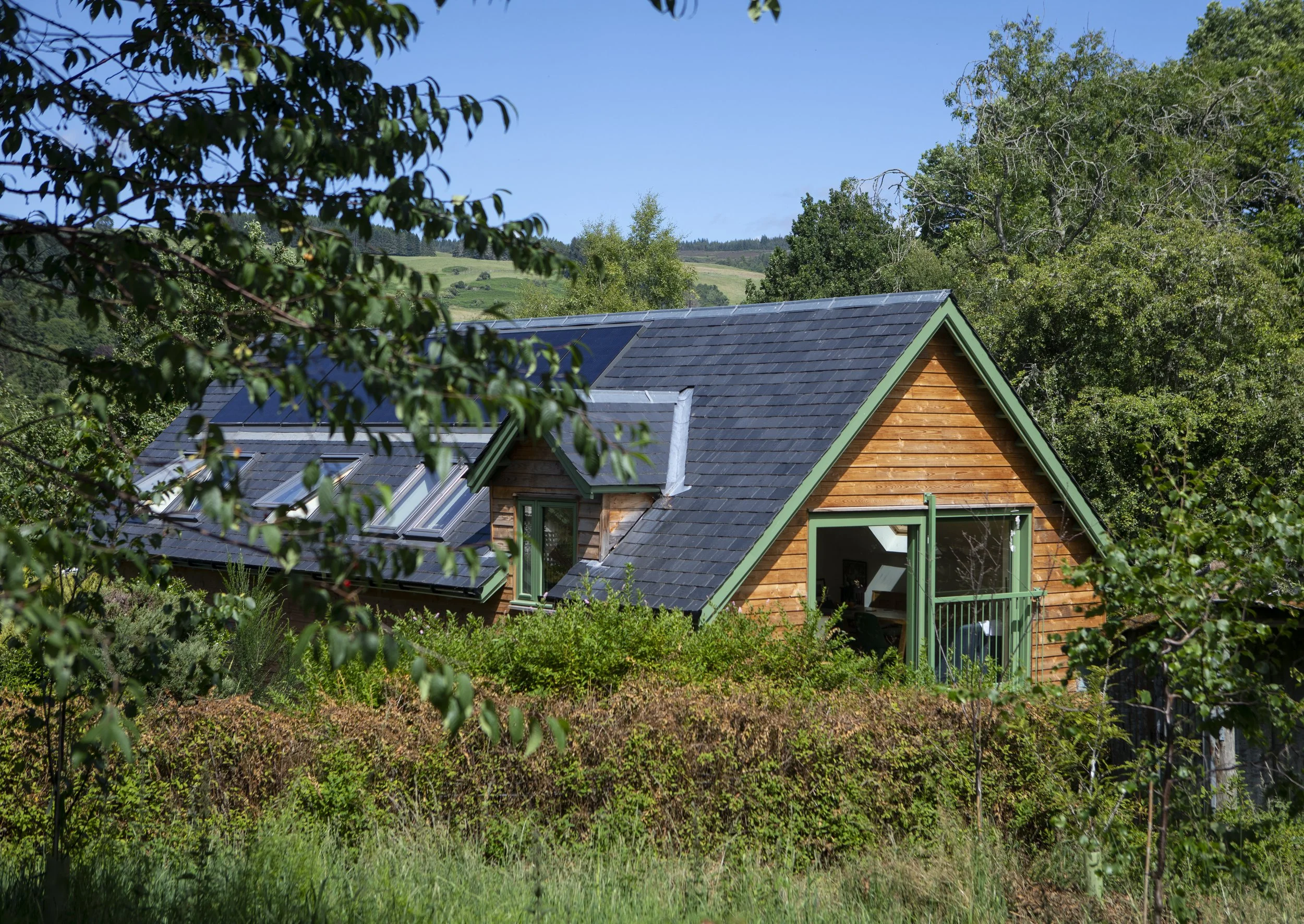 Picture of a wood clads house nestled in a woodland