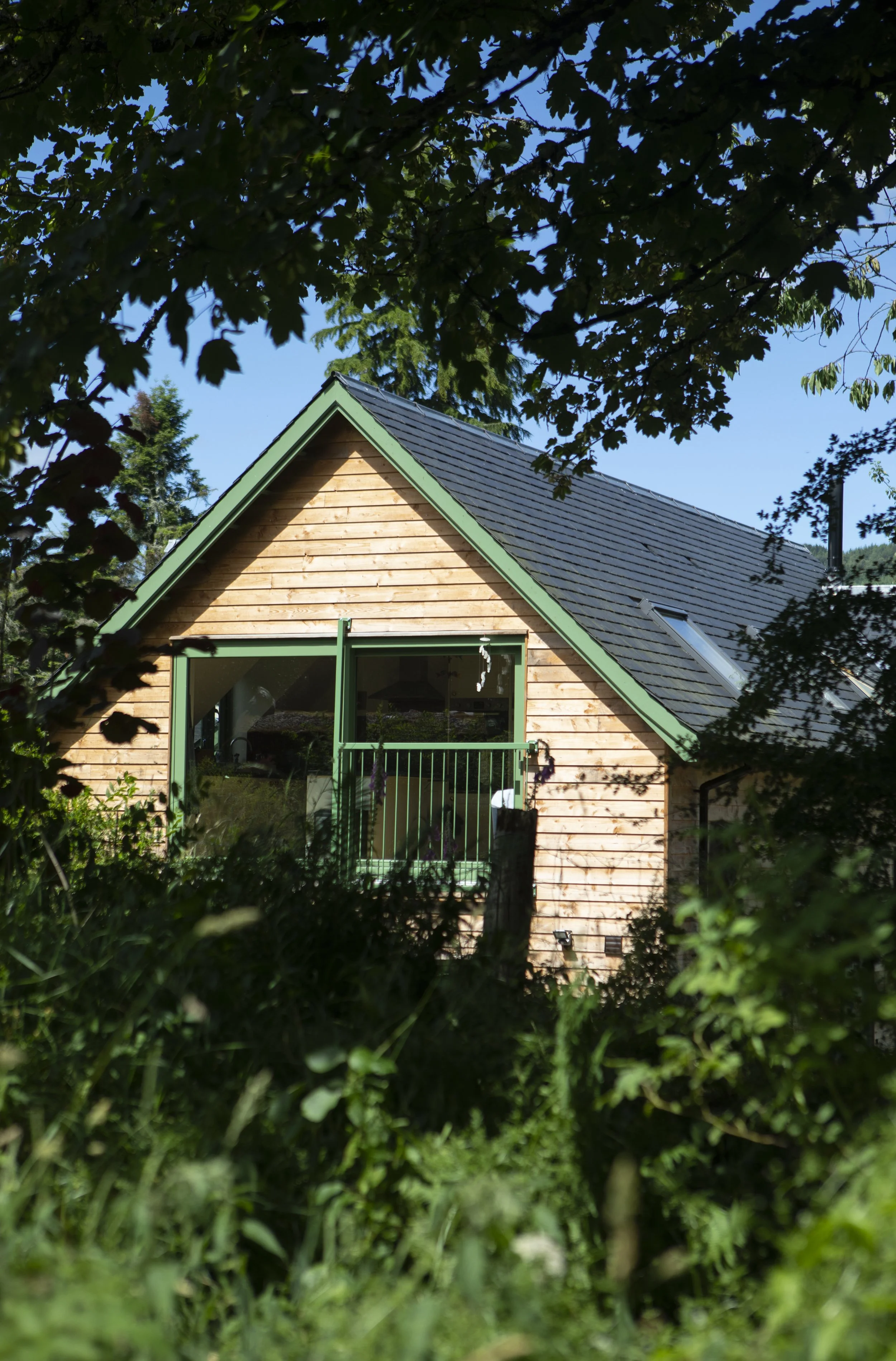 Picture of a wood clads house nestled in a woodland