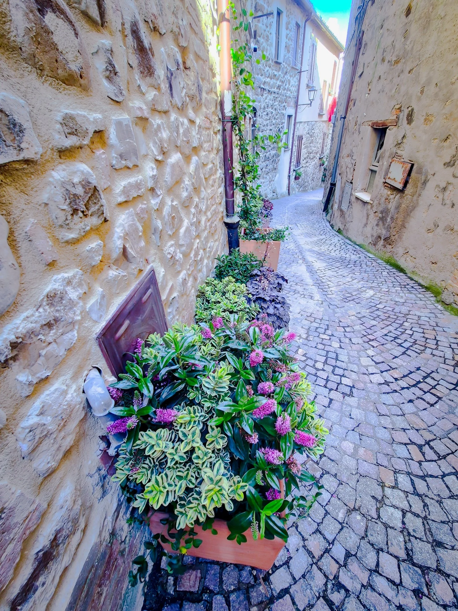 A narrow cobblestone street with potted plants and flowers along stone and plaster walls in a European village.