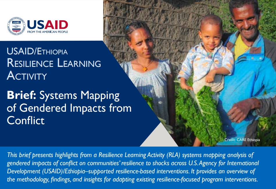 Systems Mapping of Gendered Impacts from Conflict (Ethiopia)