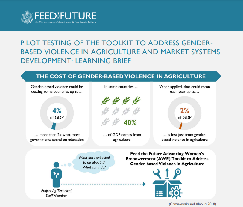 Pilot Testing of the Toolkit To Address Gender-Based Violence in Agriculture and Market Systems Development