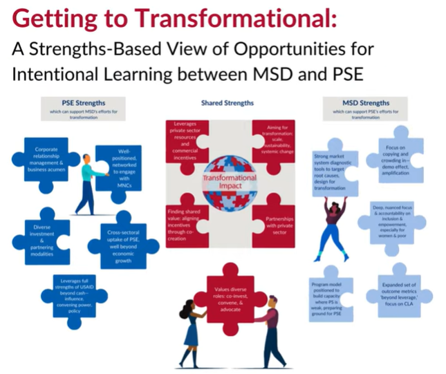 A Strengths-Based View of Opportunities for Intentional Learning between MSD and PSE