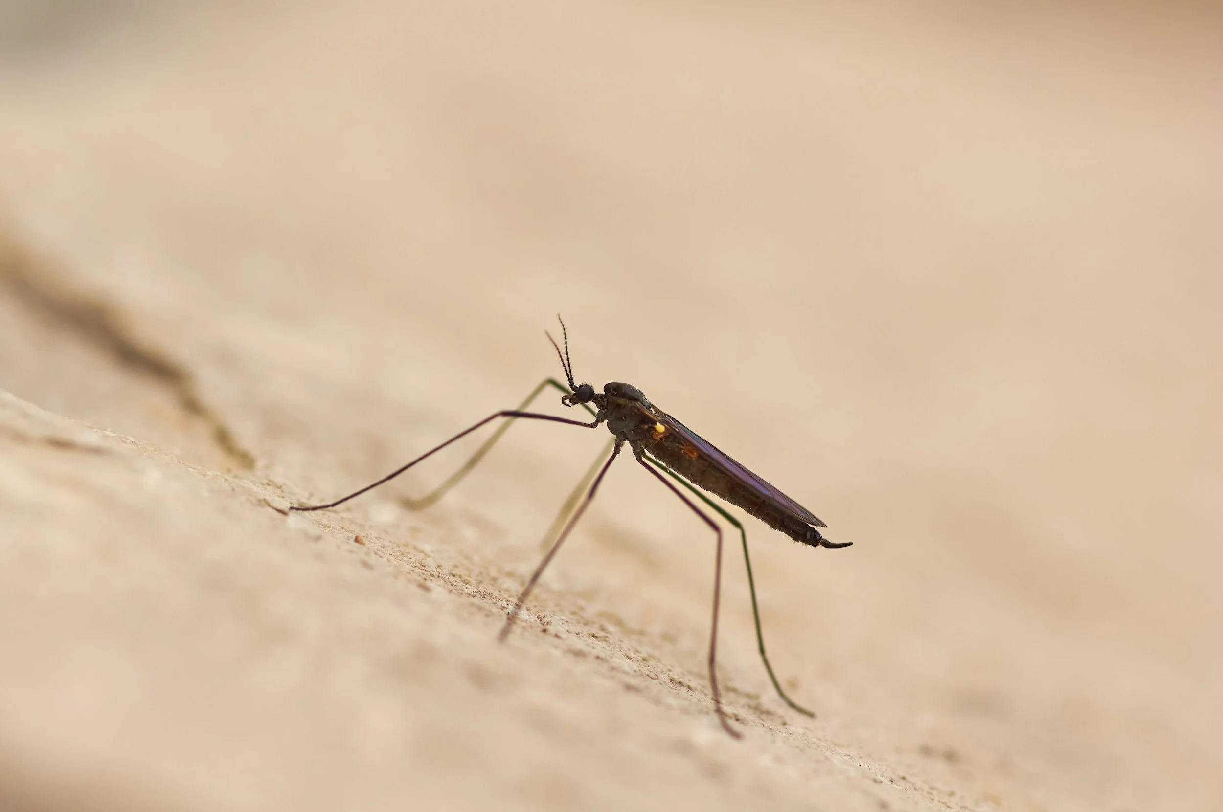 President’s Malaria Initiative: 2024 Country Fact Sheets