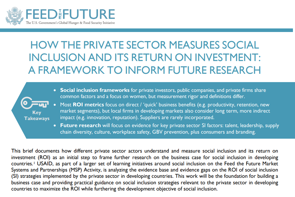 How the Private Sector Measures Social Inclusion and its Return on Investment: A Framework to Inform Future Research