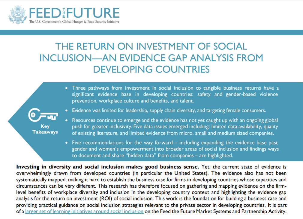 The Return on Investment of Social Inclusion: An Evidence Gap Analysis from Developing Countries