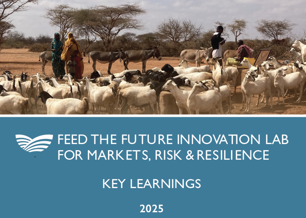 Feed the Future Innovation Lab for Markets, Risks, and Resilience — Key Learnings