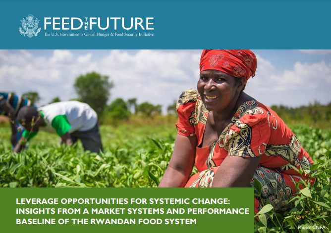Leveraging Opportunities for Systemic Change