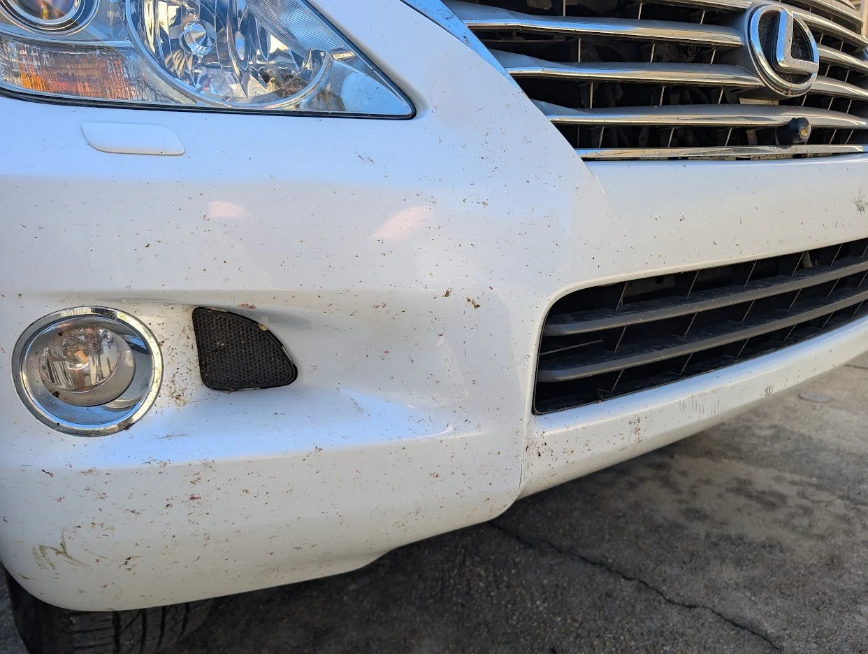 Why Paint Protection Matters — Especially in New Orleans