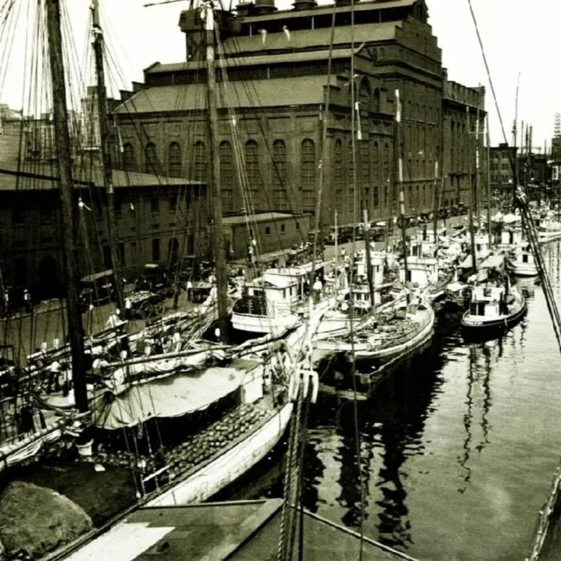 1920- MARRIED TO THE SEA?