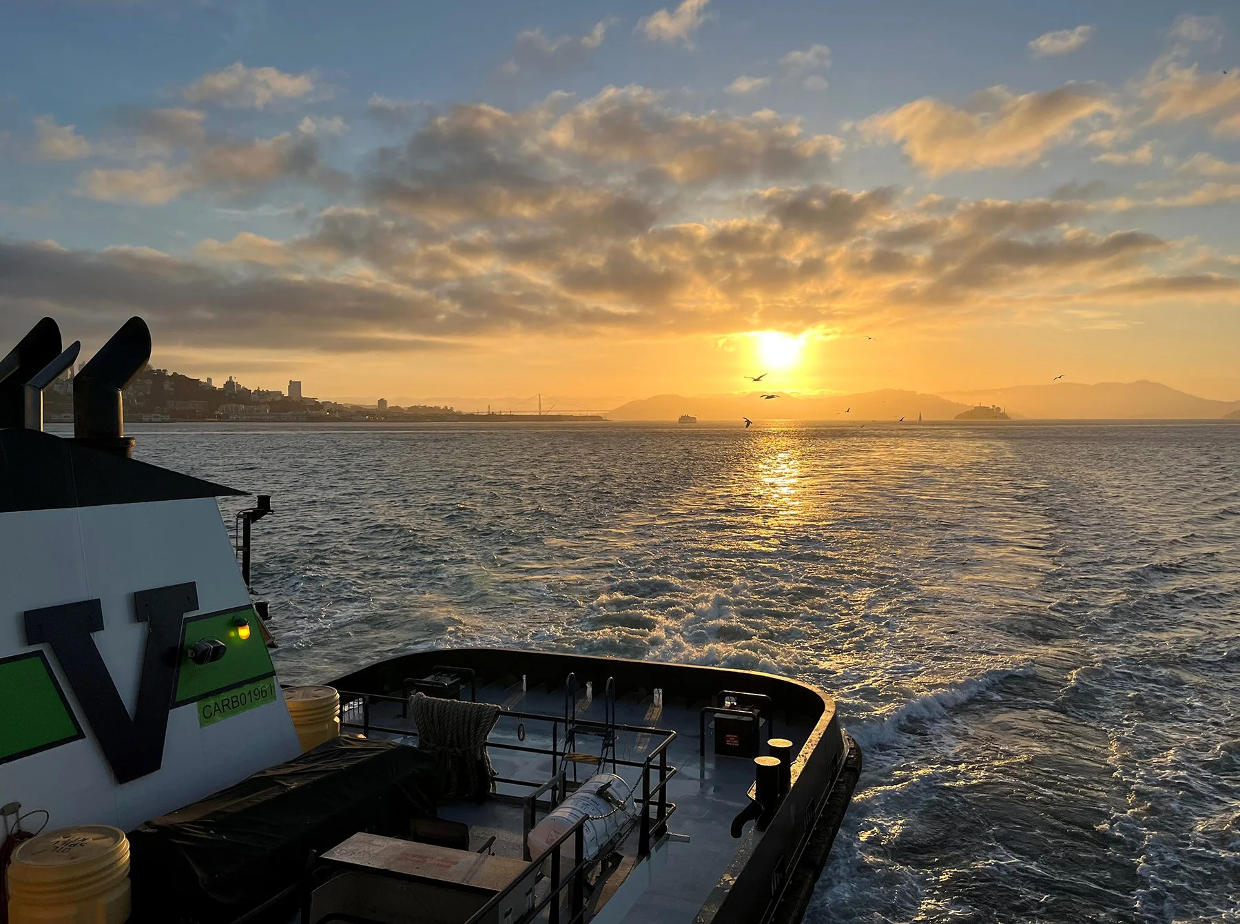 San Francisco Bay beauty. [Photo by Michael McCowan] #TheVaneBrothersCompany #ATB #Tugboat