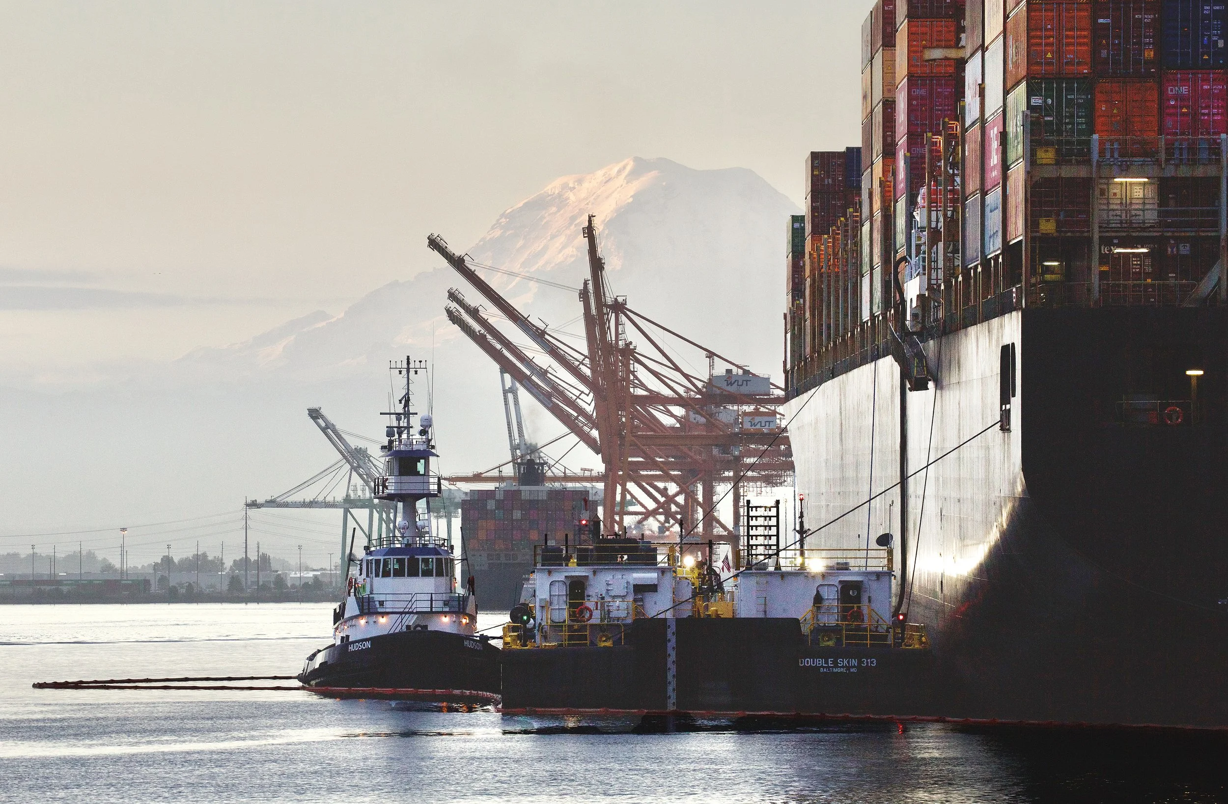 Cargo ships and cranes at a busy port with snow-capped mountains in the background.