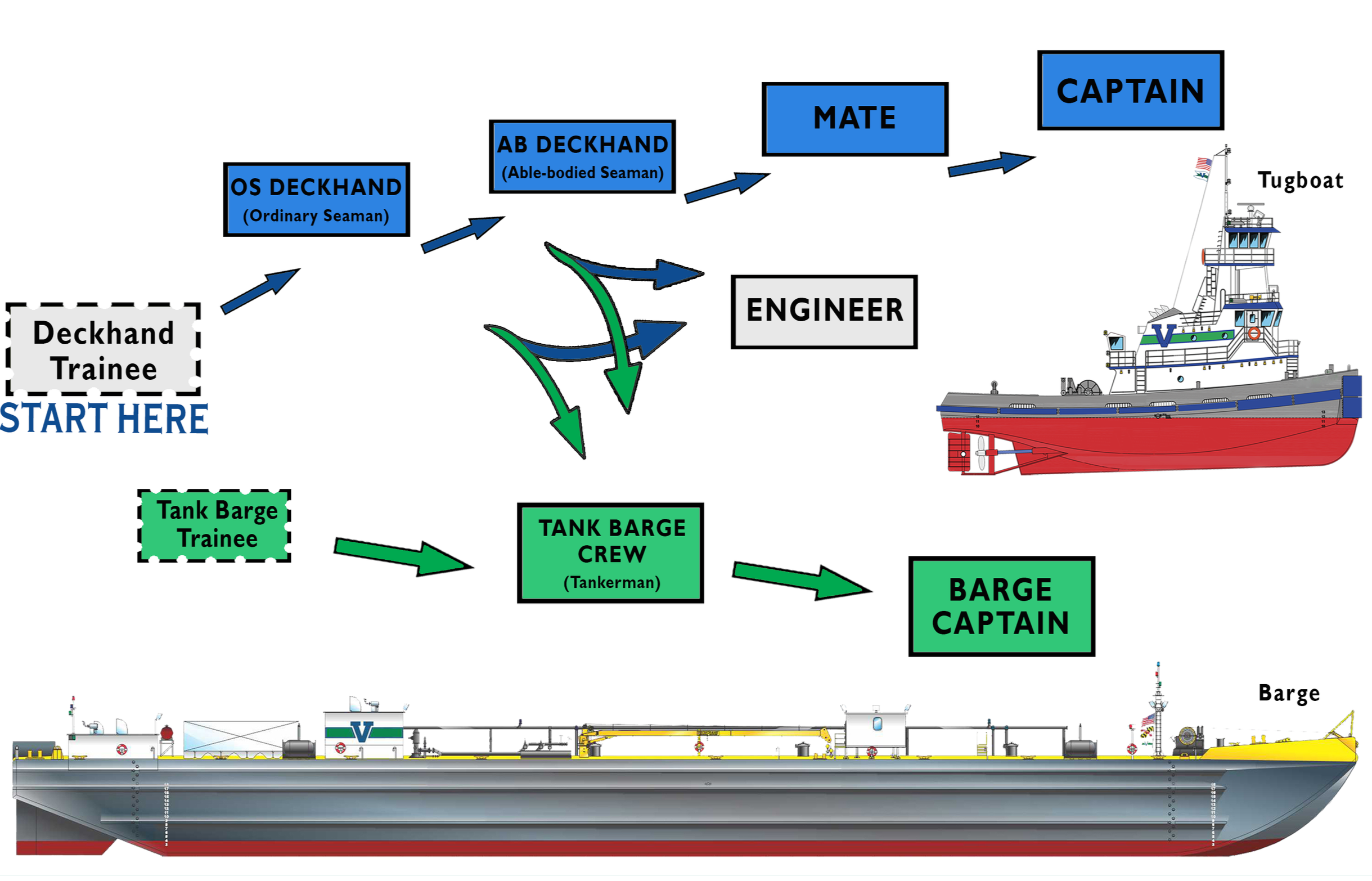 Flowchart of a naval career path starting from a deckhand trainee, progressing through various roles including OS deckhand, AB deckhand, mate, captain, engineer, tank barges, and finally barge captain, with illustrations of ships and pathway arrows.