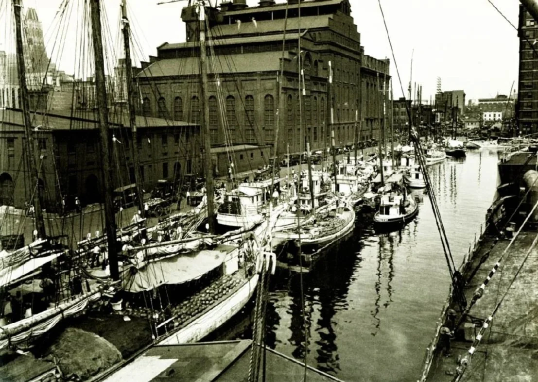 Sailboats docked in a harbor next to a large historic brick building, with cityscape in the background.