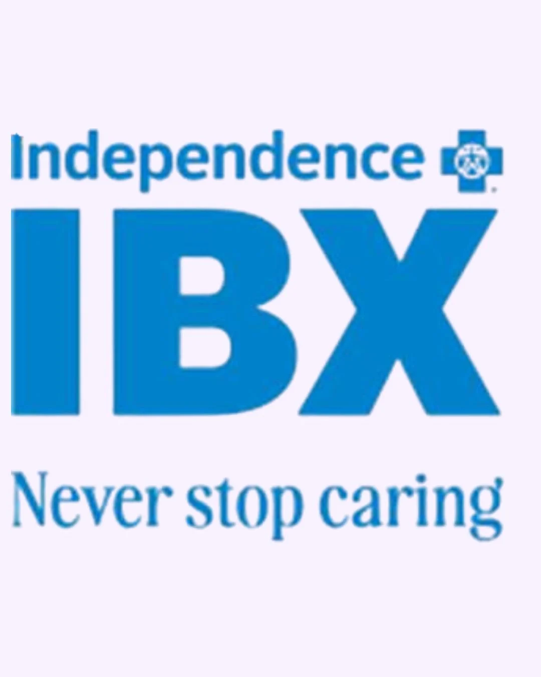 IBX logo.jpg