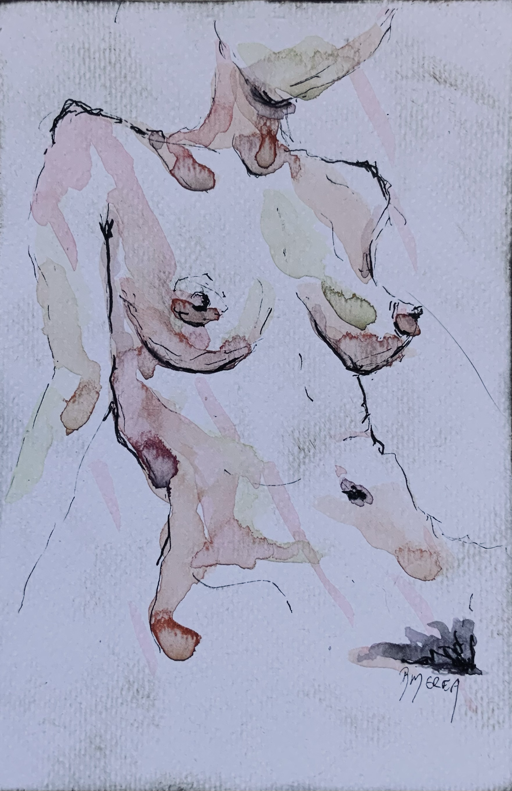 Torso Study I