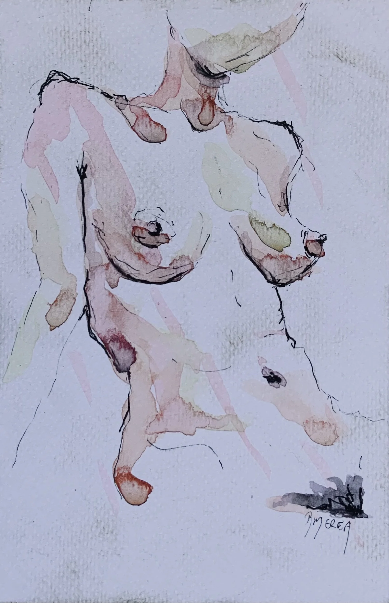 Torso Study I - Original, watercolour and ink pen