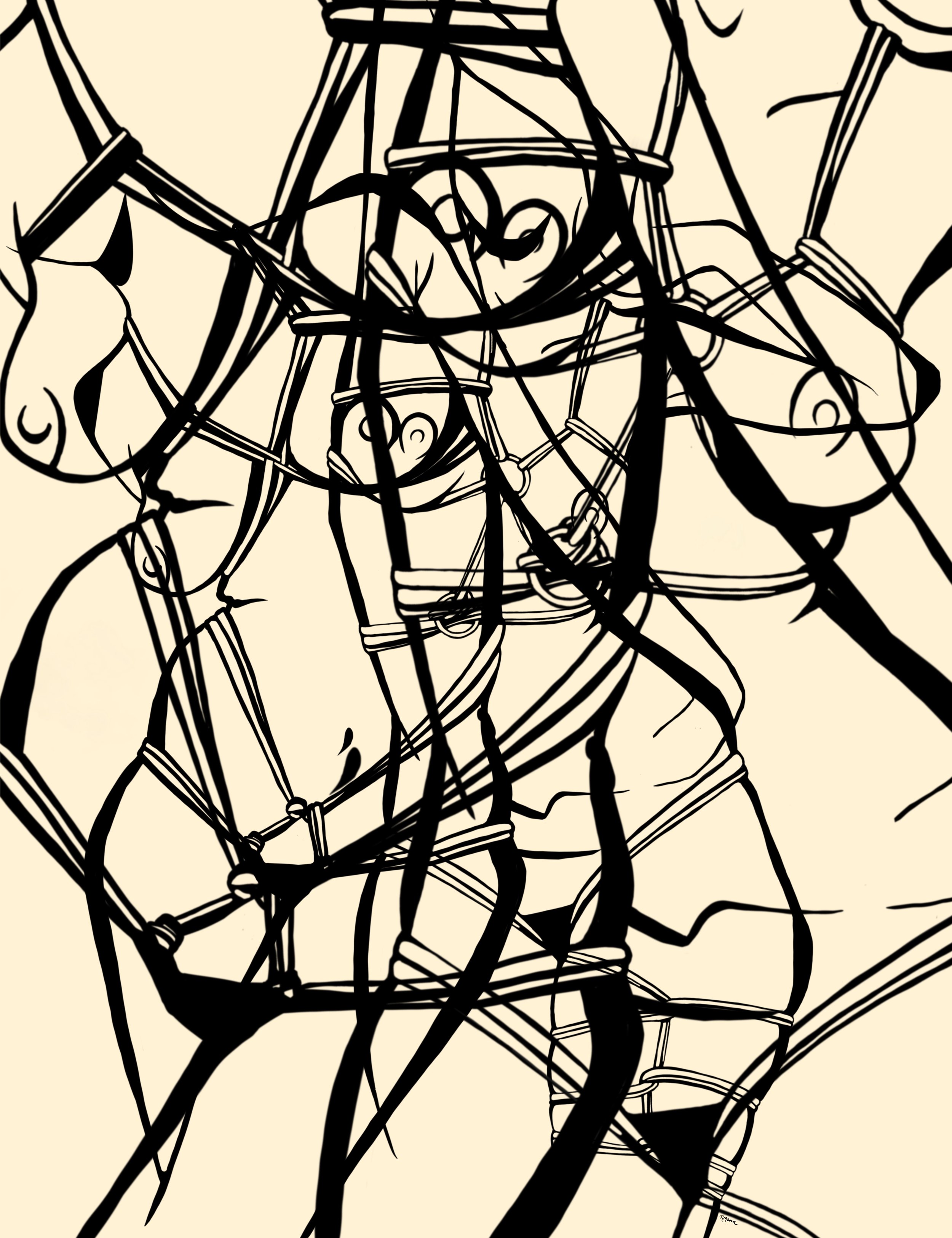 'Entanglement' Series