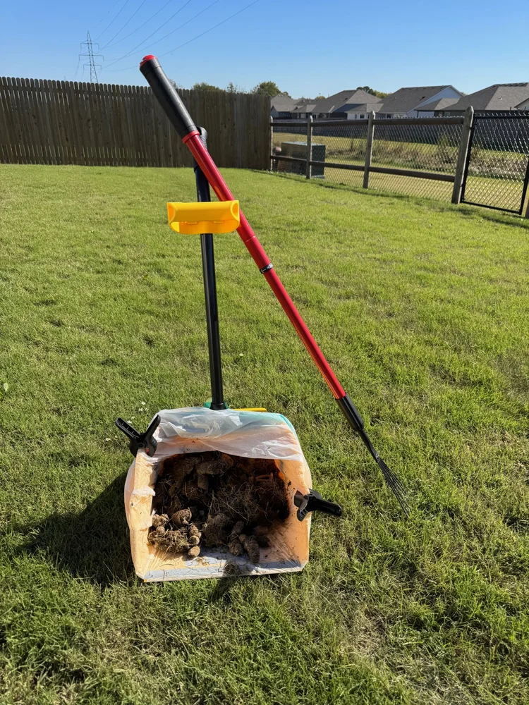Scooping in progress with rake and collection bag set up in the yard.