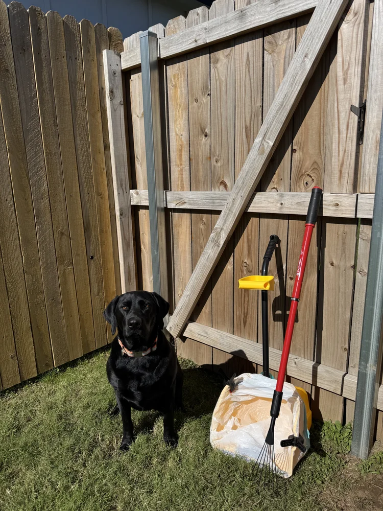 Tech arrives and gears up while the friendly black lab watches by the gate.