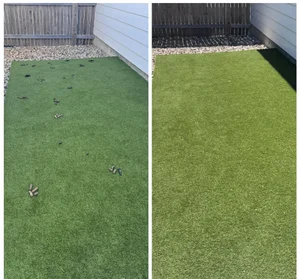 Before and after clean yard from Poop Commanders