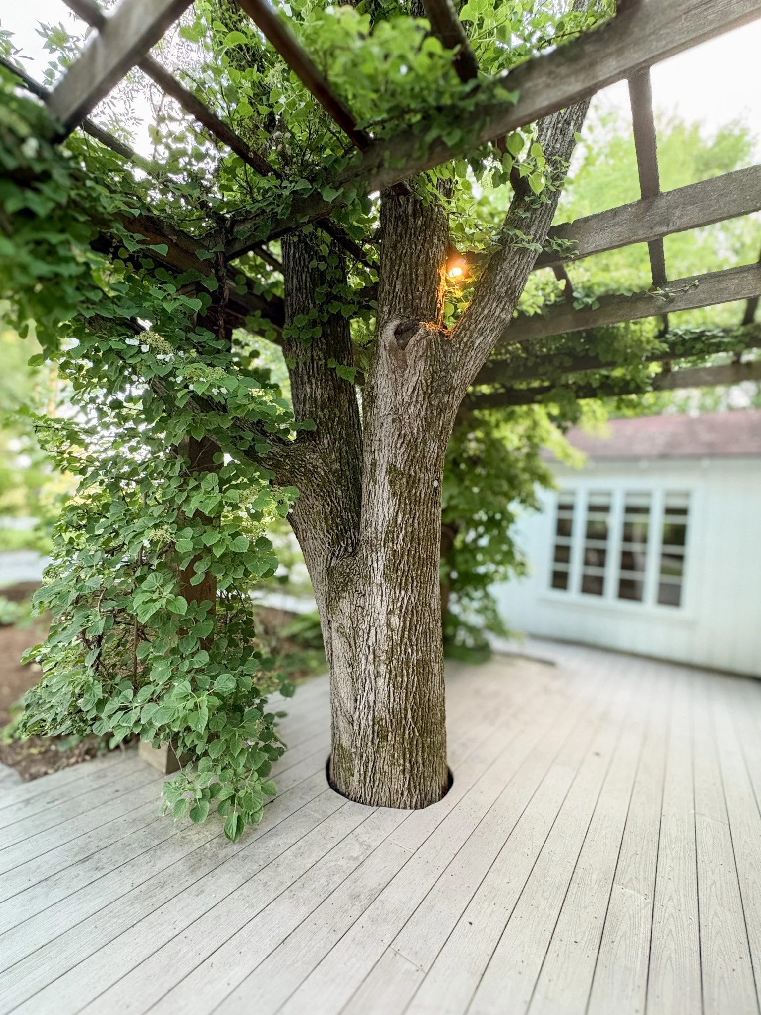 IMG_1625.jpg