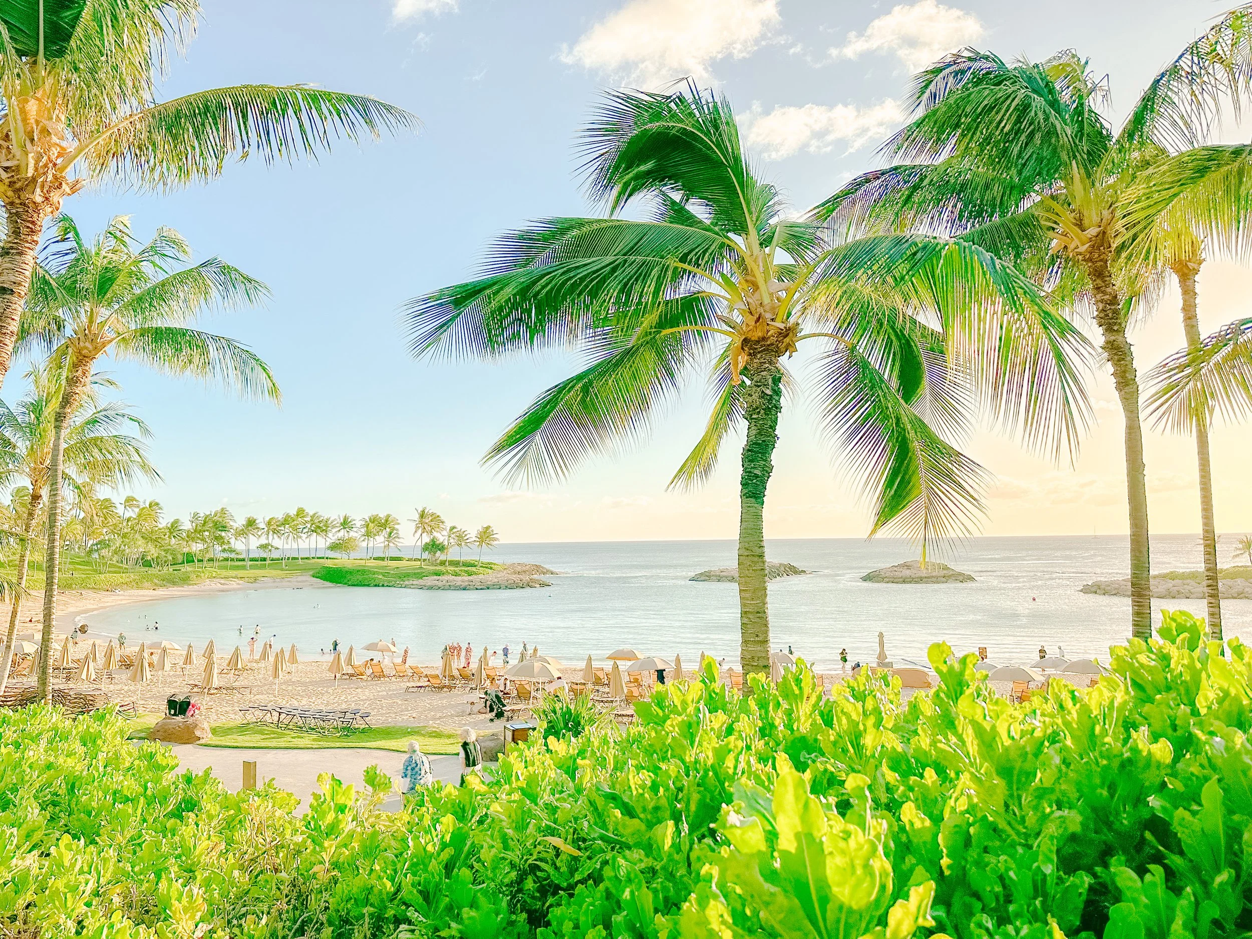 Tropical beachfront with palm trees, sandy shore, deck chairs with umbrellas, the ocean, and a sky with clouds.