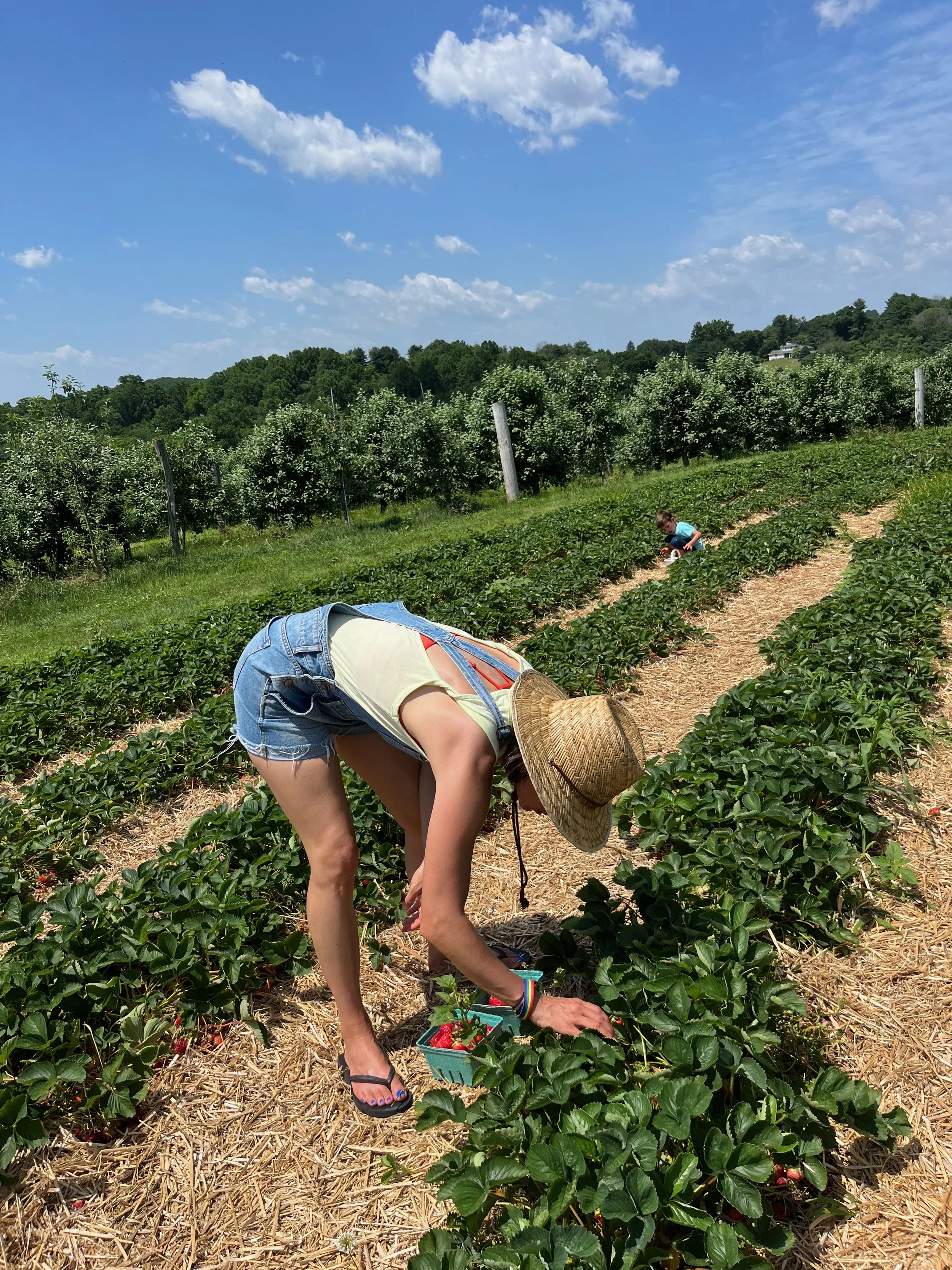 Roberta bending down to pick strawberries in a farm field, with a young boy in the background also picking strawberries, under a partly cloudy blue sky.