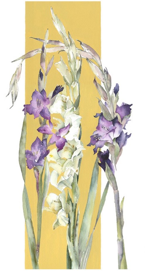 Three-Gladioli-web.jpg